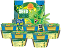 Eco Seed Sprouts Aunt Annie Aloe - Multipack of 5