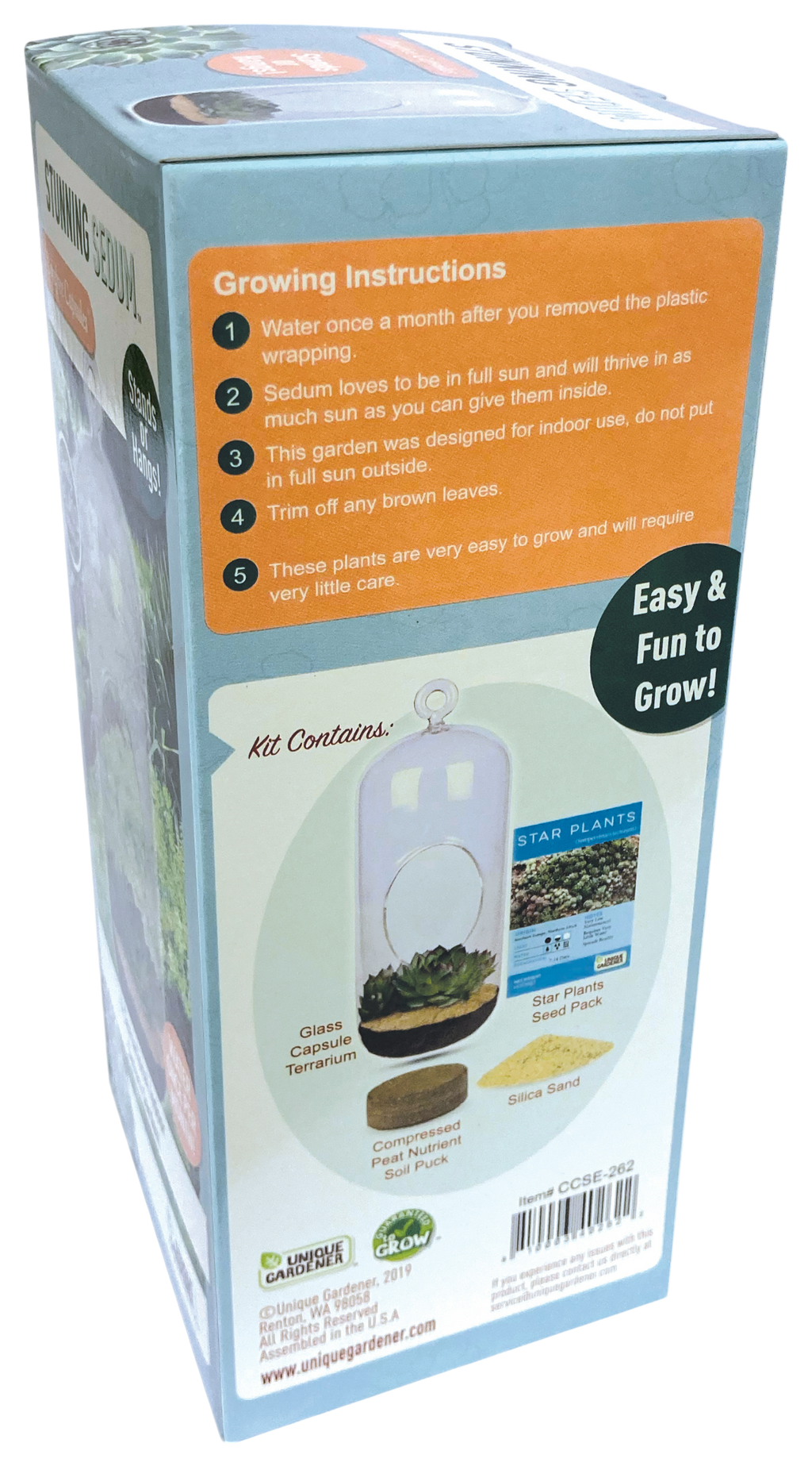 Stunning Sedum Glass Terrarium Seed Starting Kit