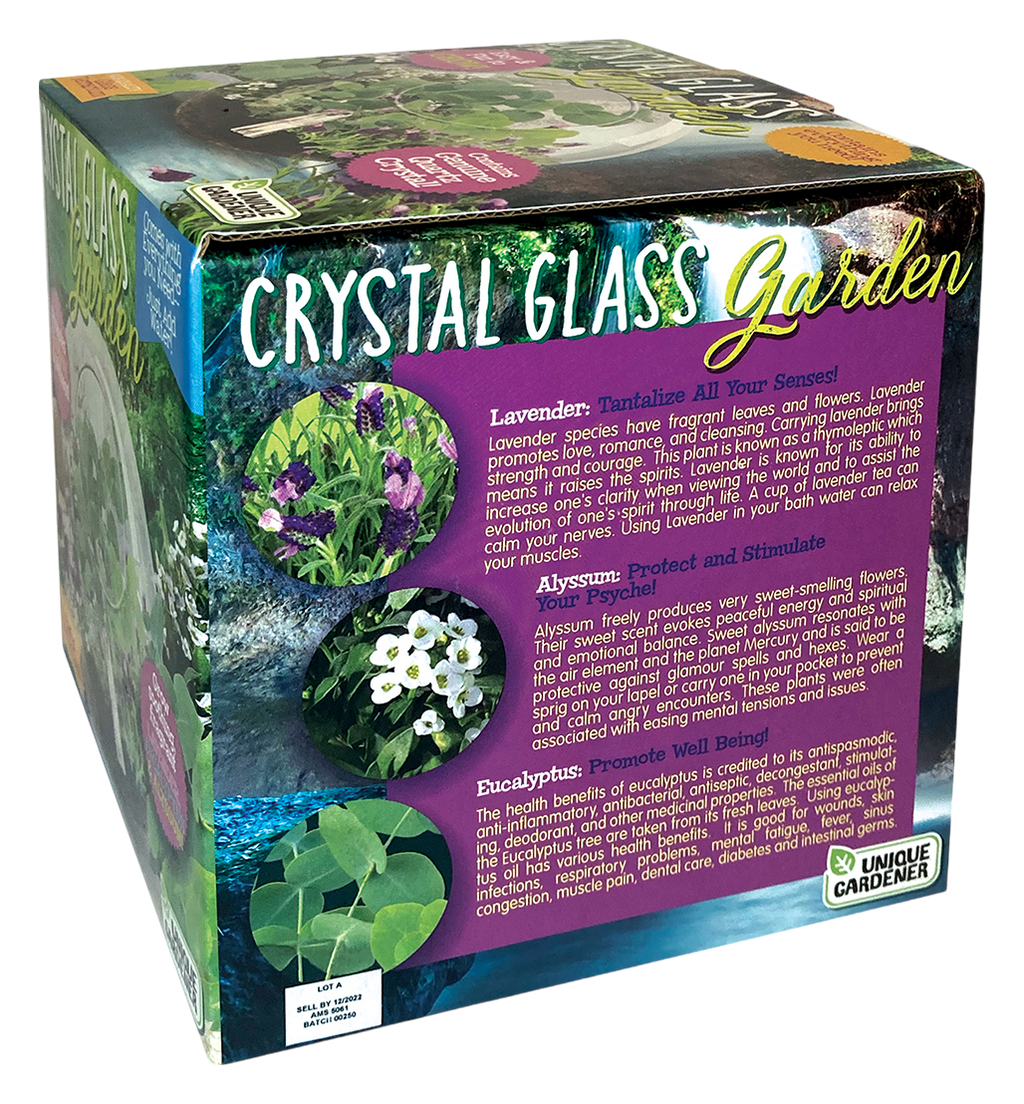 Crystal Glass Garden Seed Starting Terrarium