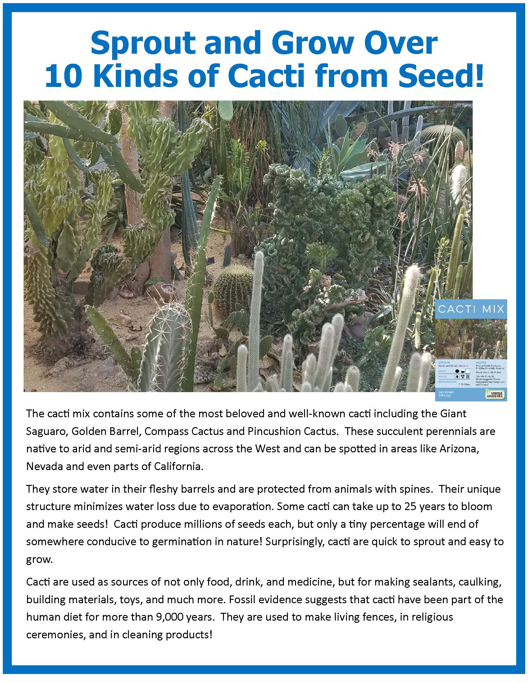 Cacti Collection Glass Terrarium Seed Starting Kit