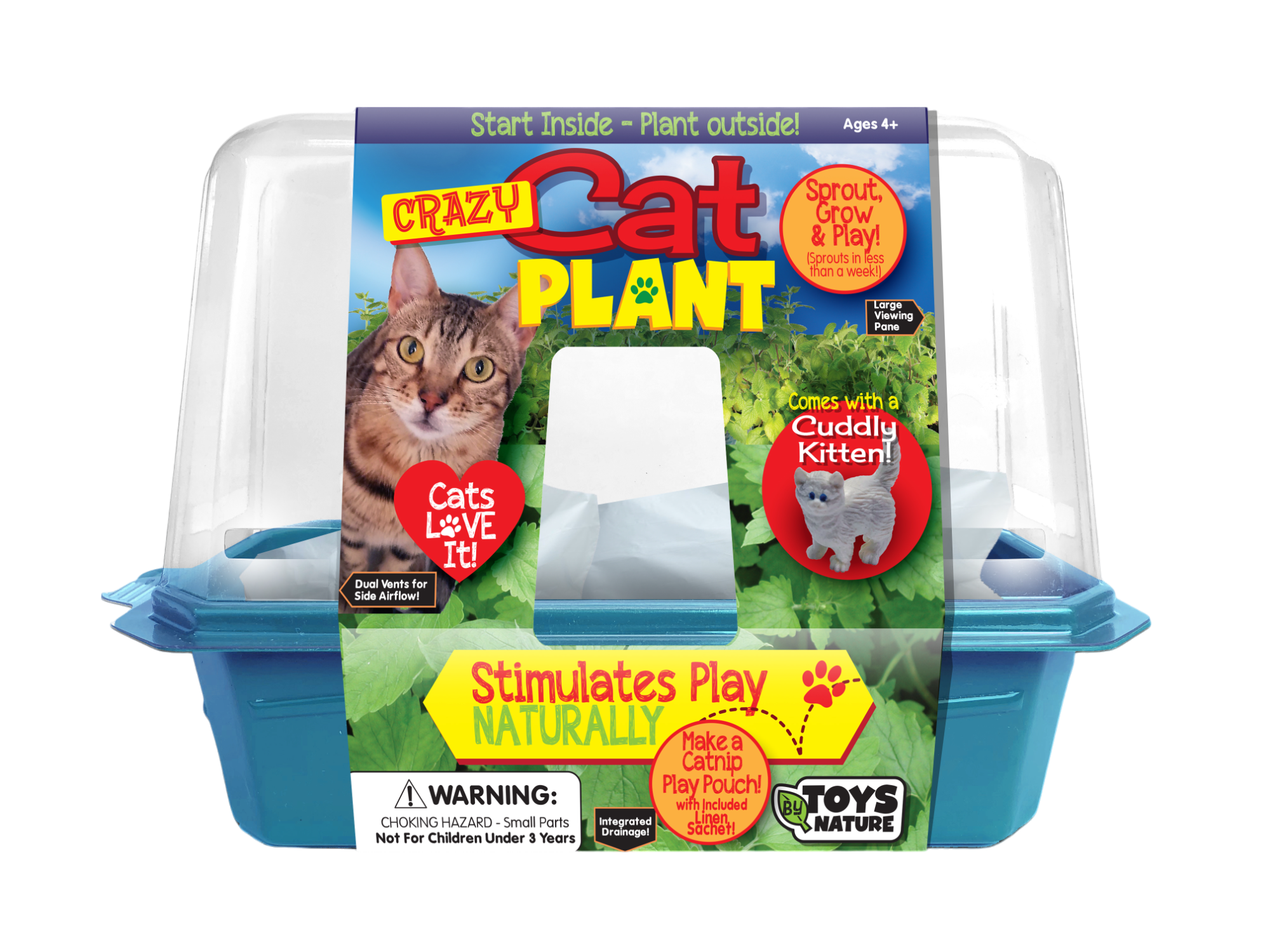 Crazy Cat Plant Mini World Terrarium