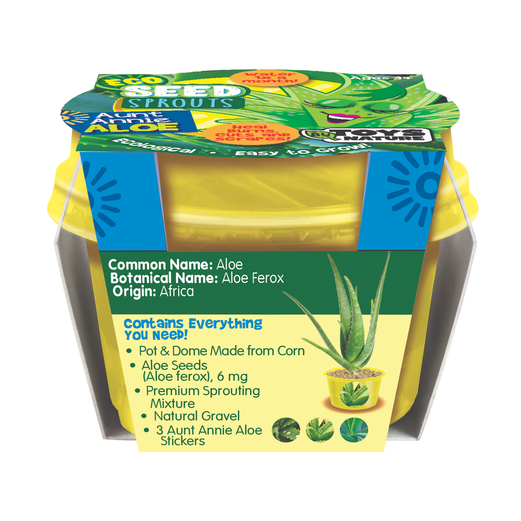 Eco Seed Sprouts 6 Variety Assortment Pack – 1 of Each