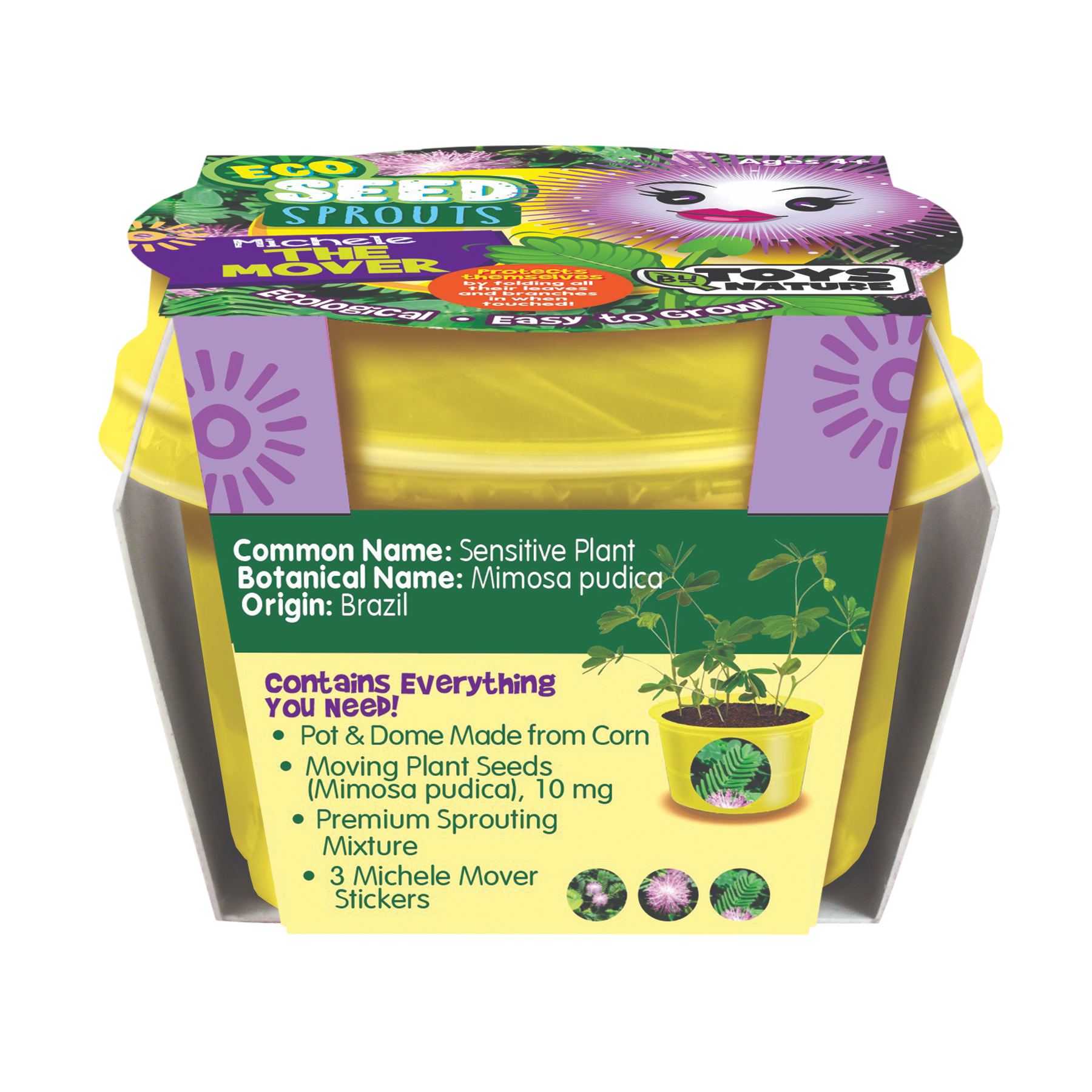 Eco Seed Sprouts 6 Variety Assortment Pack – 1 of Each