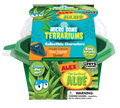 Alex 'The Soothing' Aloe Micro Dome Terrarium