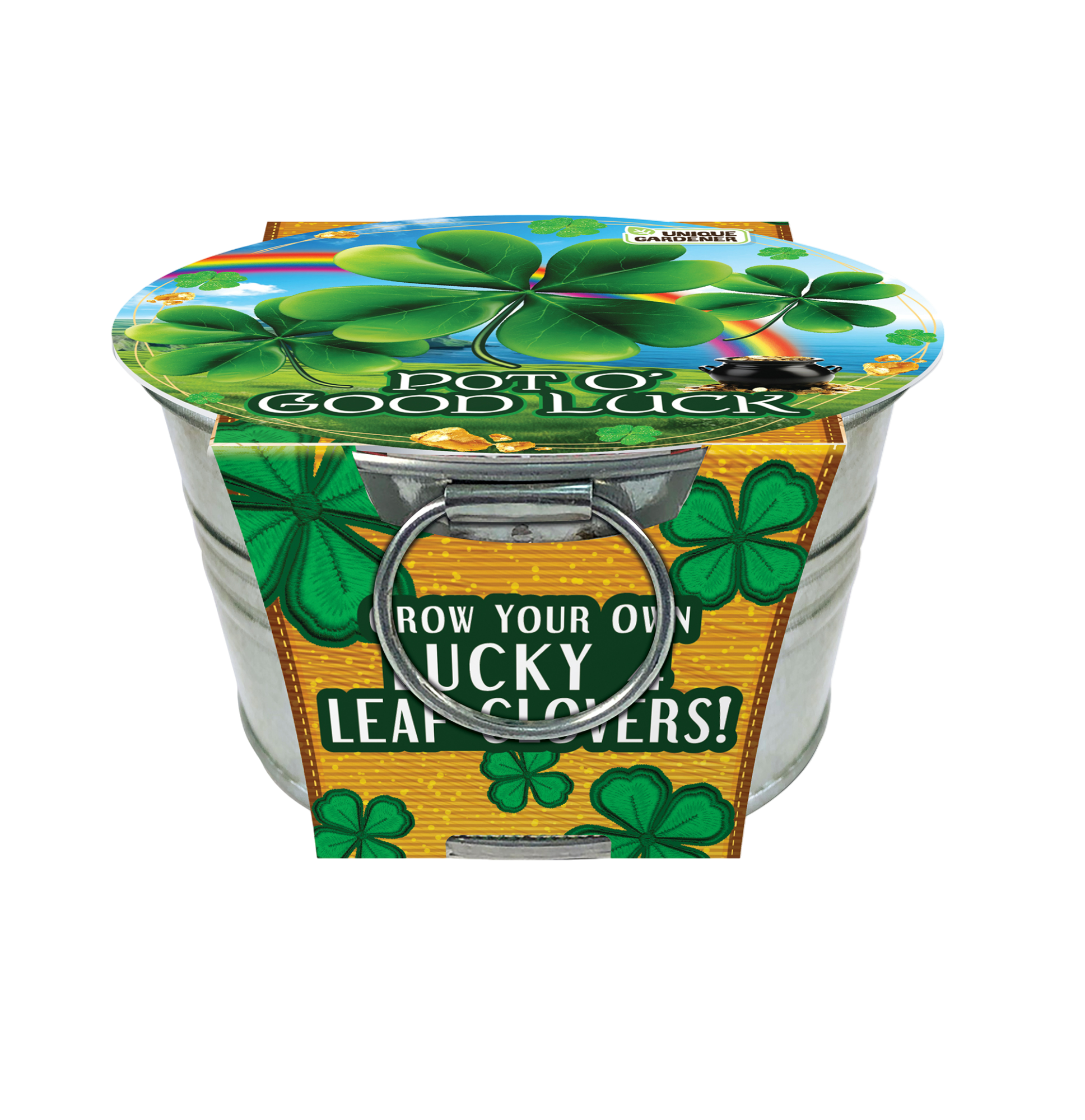 Pot O' Good Luck - Grow Your Own Shamrocks Multipack of 3