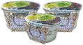 Pail of Peace - Grow Your Own Succulents Multipack of 3