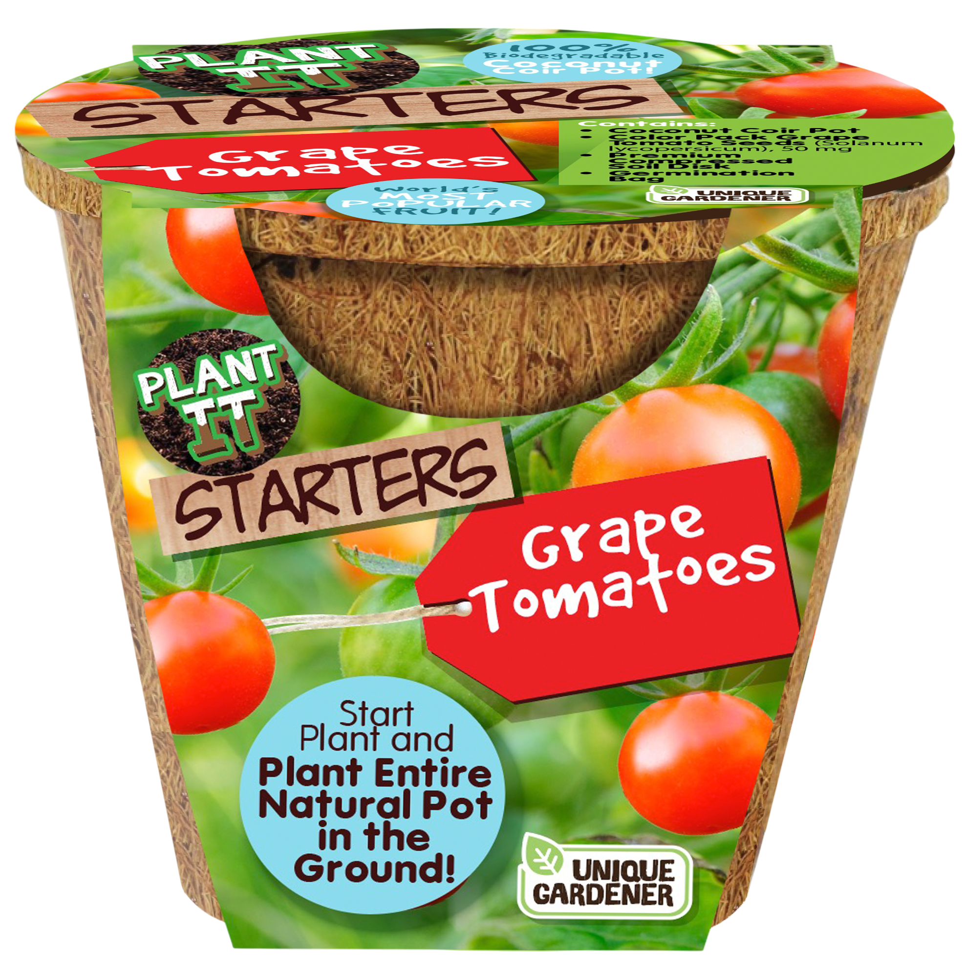 Grape Tomatoes Plant-It-Starters - Multipack of 4