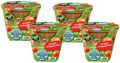 Grape Tomatoes Plant-It-Starters - Multipack of 4