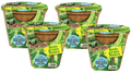 Green Bush Beans Plant-It-Starters - Multipack of 4