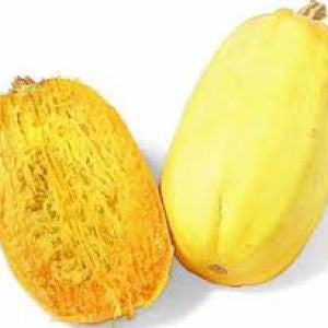SQUASH Seeds, Spaghetti