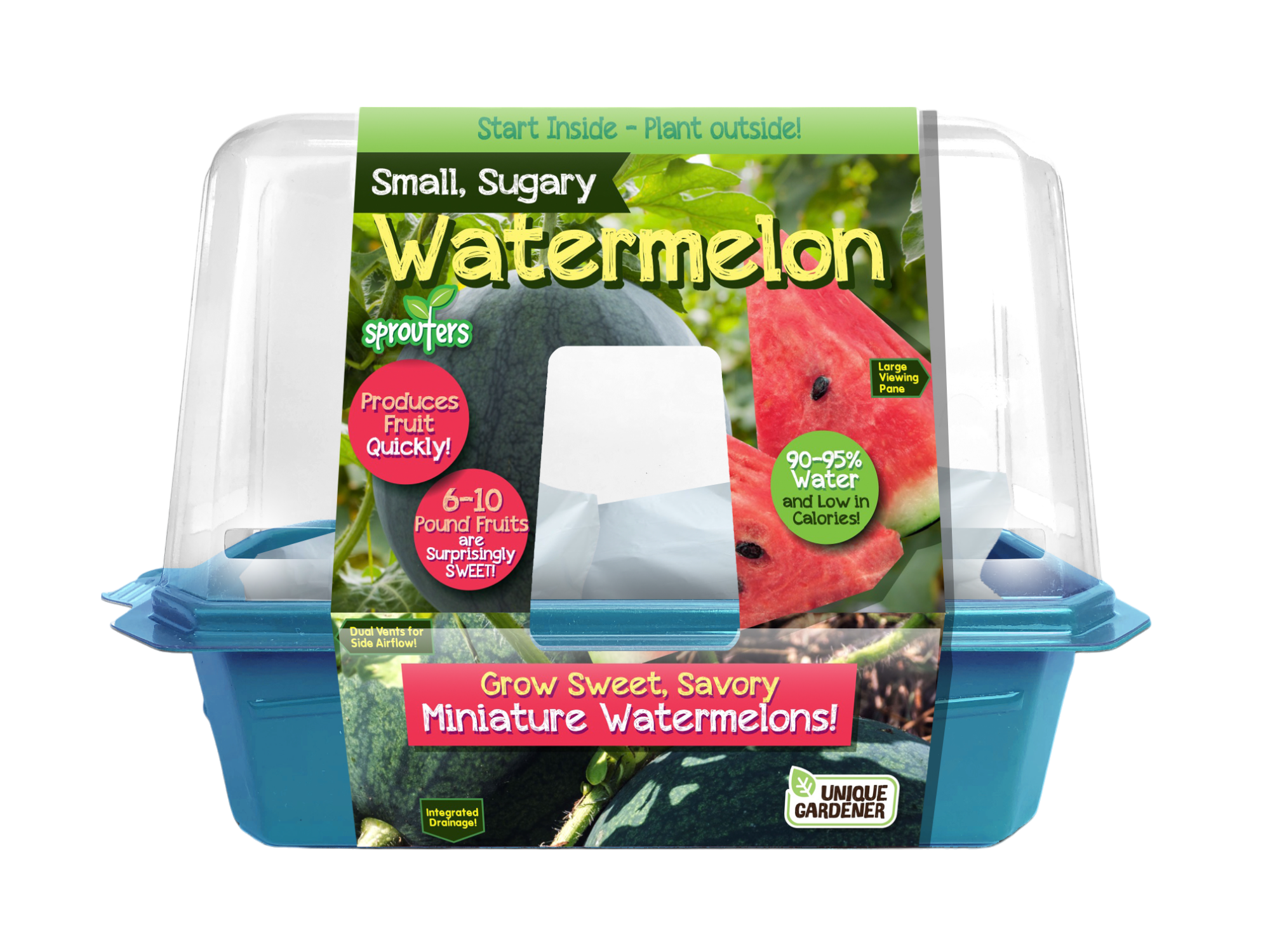Small, Sugary Watermelon Sprouter Terrarium