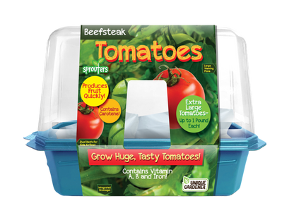 Beefsteak Tomatoes Sprouter Terrarium