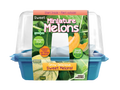 Mini Melons Sprouter Terrarium