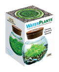 WaterPlants- Grow Lush Aquatic Plants from Seed! Thrives With Minimal Care