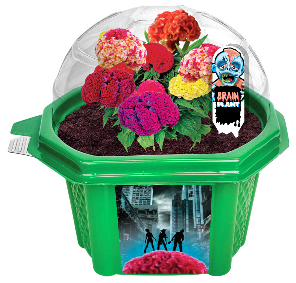 Zombie Brains Themed Micro Dome Terrarium