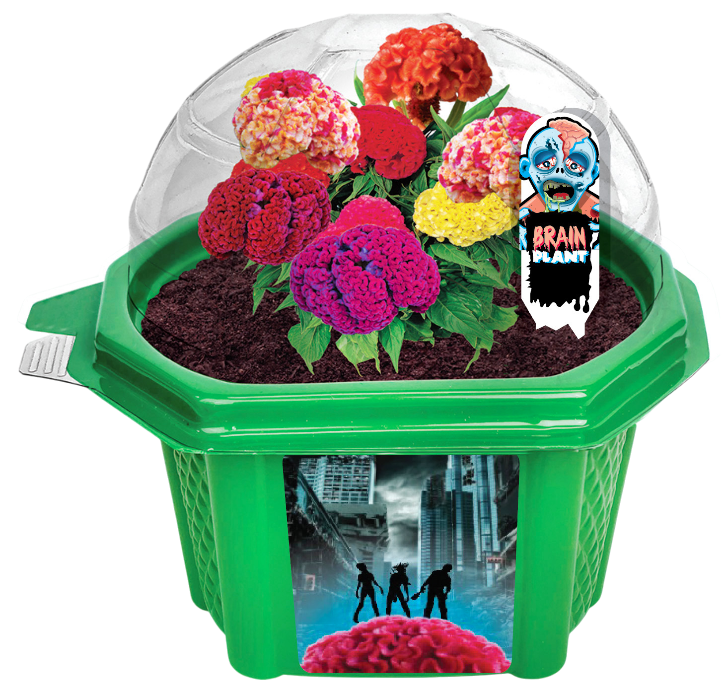 Zombie Brains Themed Micro Dome Terrarium