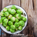 Long Island Improved Brussels Sprouts – 250 Seeds