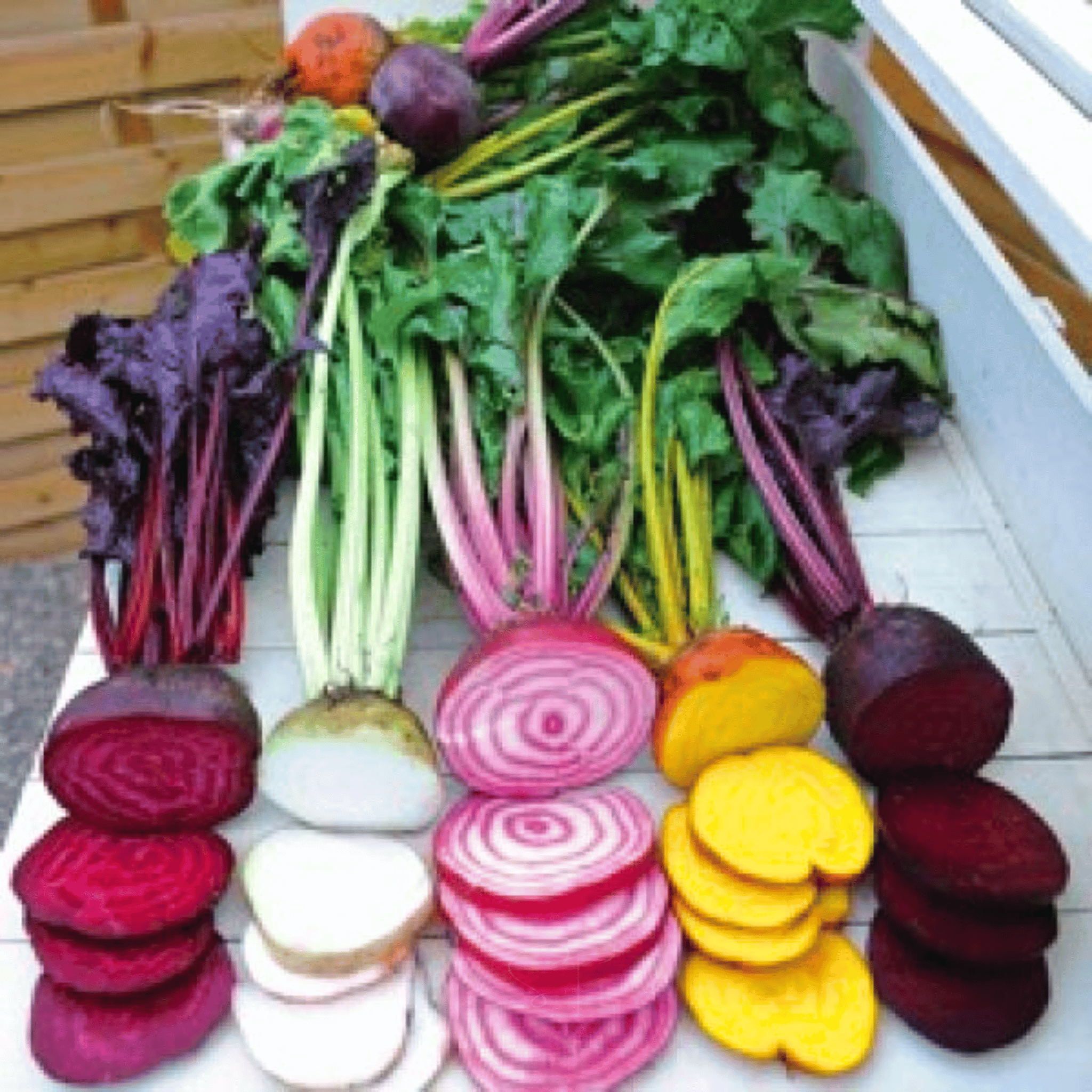 Gourmet Blend Beet – 50 Seeds