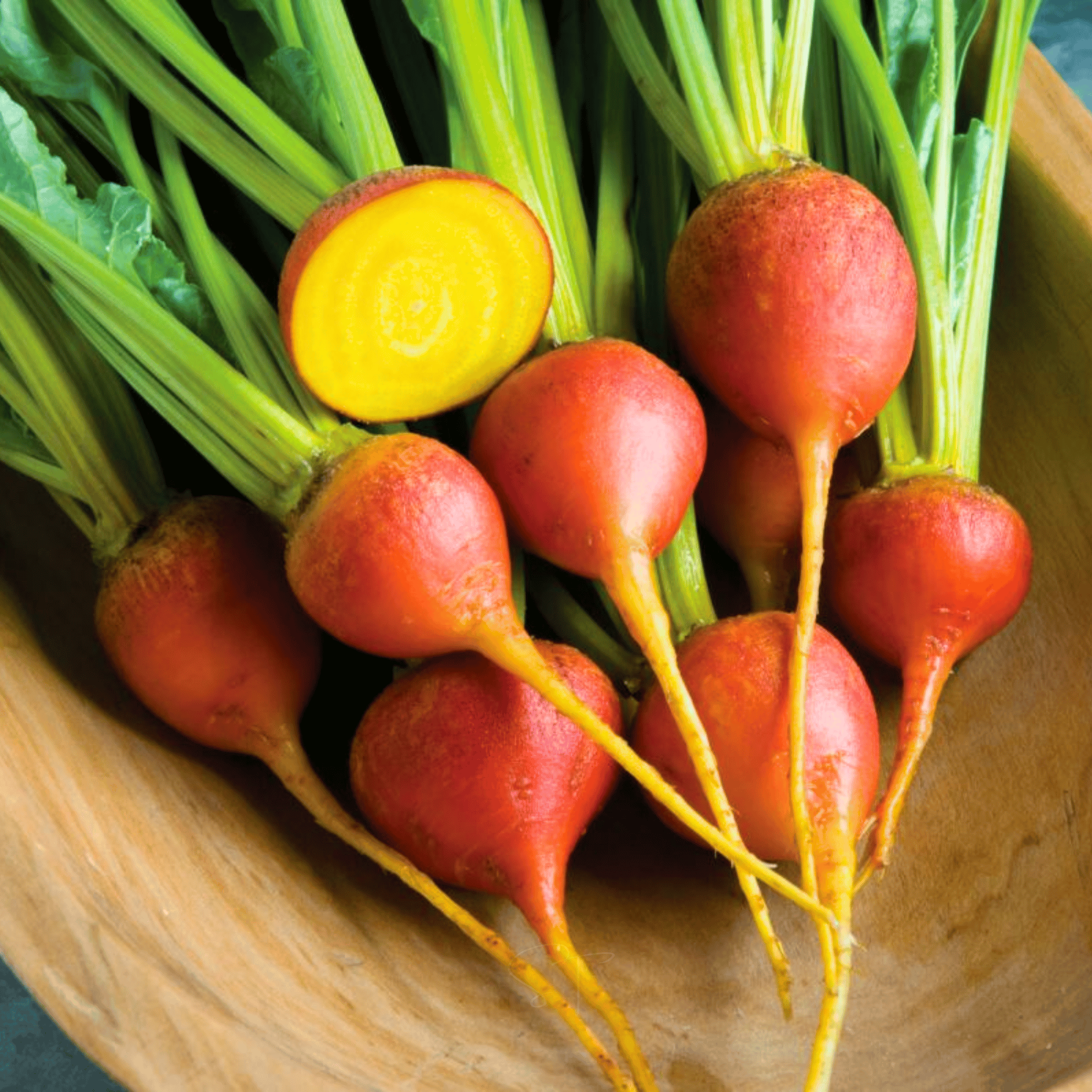 Touchstone Beet – 50 Seeds