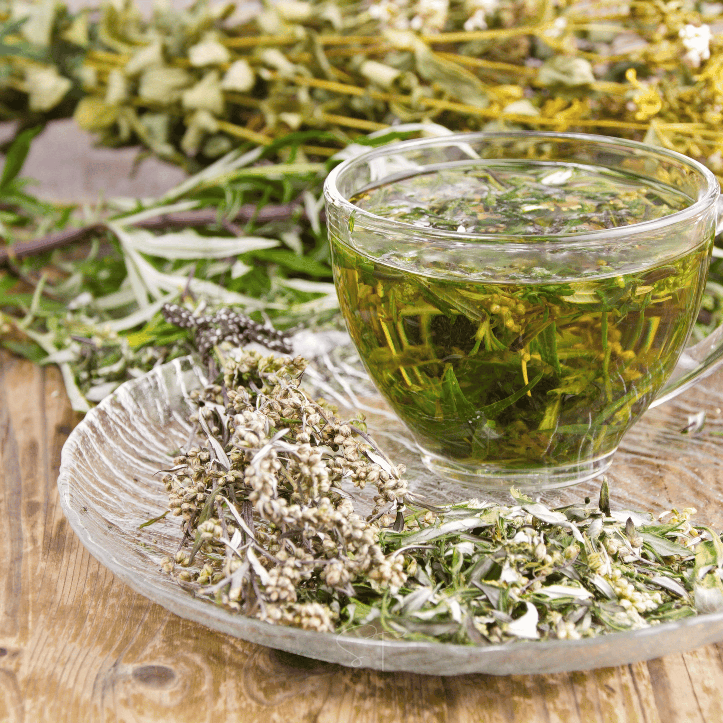 Wormwood – 200 Seeds